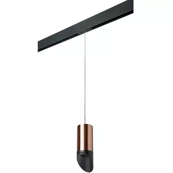 Трековый светильник однофазный 220V Lightstar Rullo PRORP43037