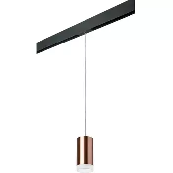 Трековый светильник однофазный 220V Lightstar Rullo PRORP430430