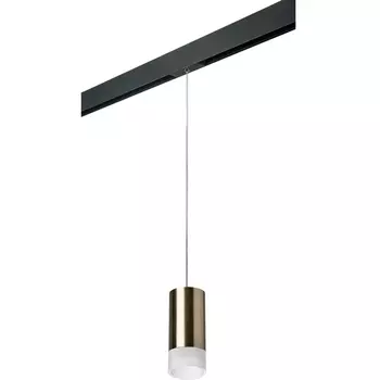 Трековый светильник однофазный 220V Lightstar Rullo PRORP43131