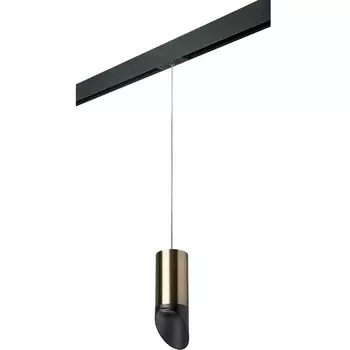 Трековый светильник однофазный 220V Lightstar Rullo PRORP43137