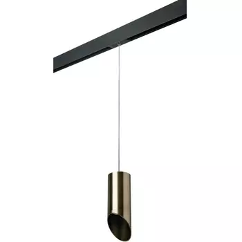 Трековый светильник однофазный 220V Lightstar Rullo PRORP431431