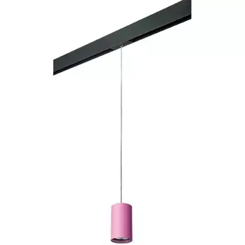 Трековый светильник однофазный 220V Lightstar Rullo PRORP432