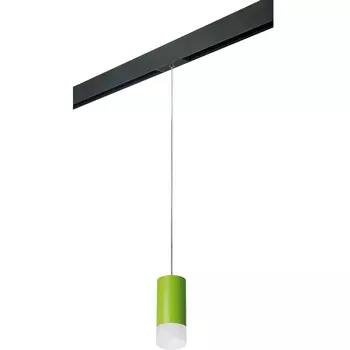 Трековый светильник однофазный 220V Lightstar Rullo PRORP43431