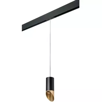 Трековый светильник однофазный 220V Lightstar Rullo PRORP437140