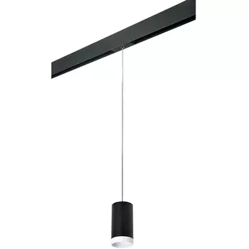 Трековый светильник однофазный 220V Lightstar Rullo PRORP4373436