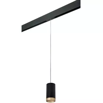 Трековый светильник однофазный 220V Lightstar Rullo PRORP43740