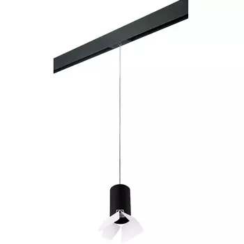 Трековый светильник однофазный 220V Lightstar Rullo PRORP437436