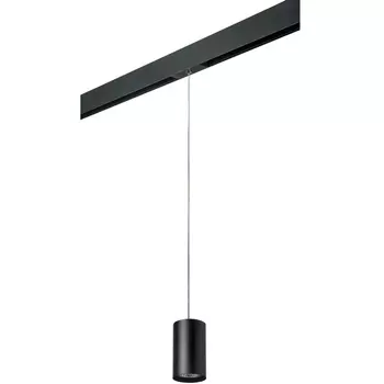 Трековый светильник однофазный 220V Lightstar Rullo PRORP437