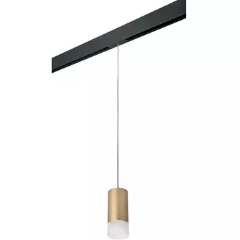 Трековый светильник однофазный 220V Lightstar Rullo PRORP440131