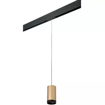 Трековый светильник однофазный 220V Lightstar Rullo PRORP440437