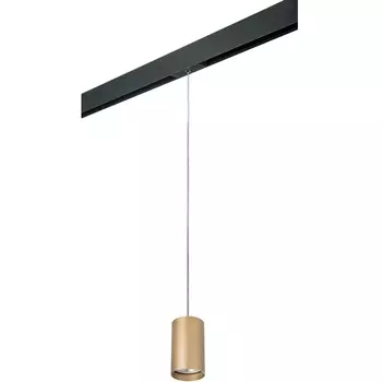 Трековый светильник однофазный 220V Lightstar Rullo PRORP440