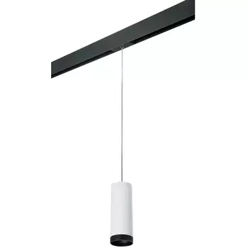 Трековый светильник однофазный 220V Lightstar Rullo PRORP4863437