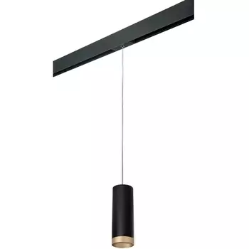 Трековый светильник однофазный 220V Lightstar Rullo PRORP48740