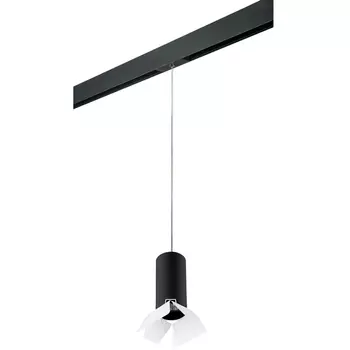 Трековый светильник однофазный 220V Lightstar Rullo PRORP487436