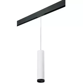 Трековый светильник однофазный 220V Lightstar Rullo PRORP4963437