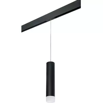 Трековый светильник однофазный 220V Lightstar Rullo PRORP49731