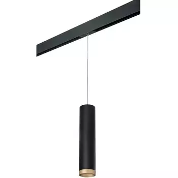 Трековый светильник однофазный 220V Lightstar Rullo PRORP49740