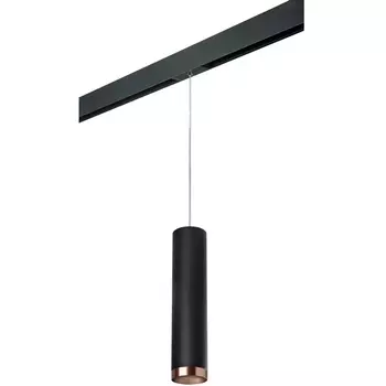 Трековый светильник однофазный 220V Lightstar Rullo PRORP497430