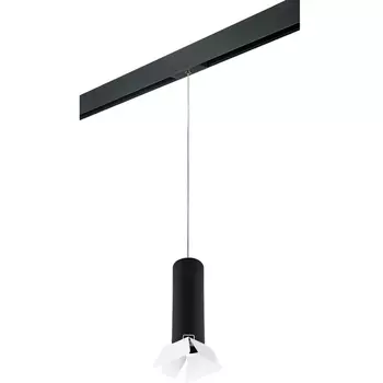 Трековый светильник однофазный 220V Lightstar Rullo PRORP497436