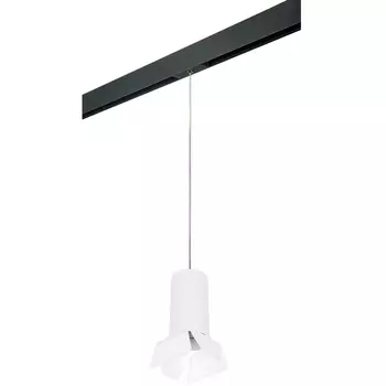 Трековый светильник однофазный 220V Lightstar Rullo PRORP6486486