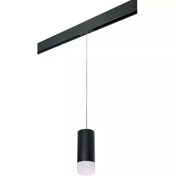 Трековый светильник однофазный 220V Lightstar Rullo PRORP648781