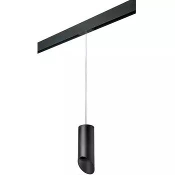 Трековый светильник однофазный 220V Lightstar Rullo PRORP648787