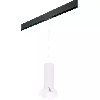 Трековый светильник однофазный 220V Lightstar Rullo PRORP6496486