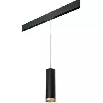 Трековый светильник однофазный 220V Lightstar Rullo PRORP649790