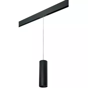 Трековый светильник однофазный 220V Lightstar Rullo PRORP6497