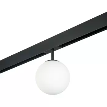 Трековый светильник однофазный 220V Lightstar Teta PRO120107