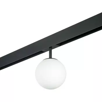 Трековый светильник однофазный 220V Lightstar Teta PRO110107