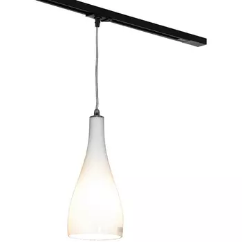 Трековый светильник однофазный 220V Lights Lussole Rimini LSF-1106-01-TAB