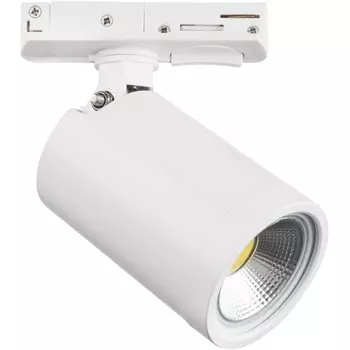 Трековый светильник однофазный 220V Lightstar Rullo 212936