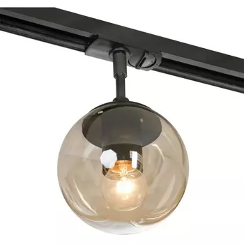 Трековый светильник однофазный 220V Lussole Hartwell LSP-8167-TAB