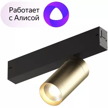 Трековый светильник светодиодный с голосовым управлением однофазный 220V Denkirs Smart Spot DK8010-BG (Умный дом, Алиса)