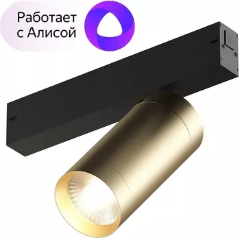 Трековый светильник светодиодный с голосовым управлением однофазный 220V Denkirs Smart Spot DK8020-BG (Умный дом, Алиса)