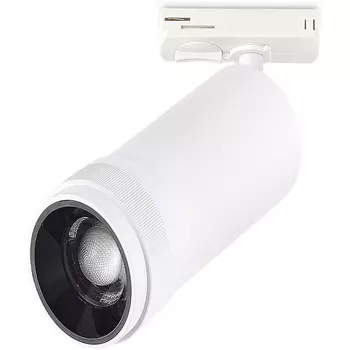 Трековый светильник однофазный ST Luce ST384.546.20 белый LED 1*20W 220V