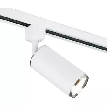 Трековый светильник однофазный 220V MRL Elektrostandard Svit 1013 a048165