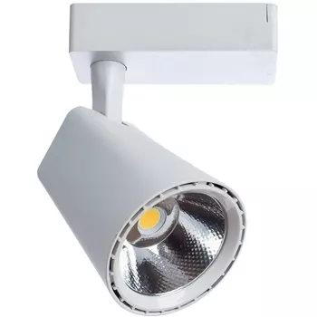 Трековый светильник однофазный 220V светодиодный Arte Lamp Amico A1821PL-1WH