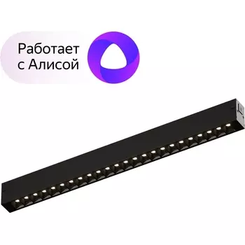 Трековый светильник с пультом однофазный 220V светодиодный Denkirs Smart DK8002-BK