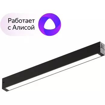 Трековый светильник с пультом однофазный 220V светодиодный Denkirs Smart DK8004-BK