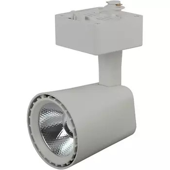 Трековый светильник однофазный 220V светодиодный TR4 - WH ЭРА 10