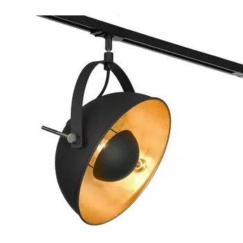 Трековый светильник однофазный 220V Lights Lussole Loft Sherrelwood LSP-9825-TAB