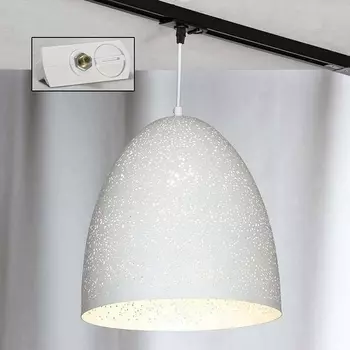 Трековый светильник однофазный 220V Lights Lussole Loft Port Chester LSP-9891-TAW