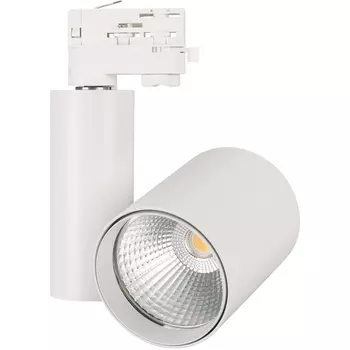 Трековый светильник трехфазный светодиодный 220V LGD-SHOP-4TR-R100-40W Cool SP7500-Fish (WH, 24 deg) (Arlight, IP20 Металл) 026387