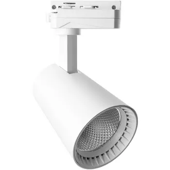 Трековый светодиодный светильник 220V Feron AL100 41605 однофазный