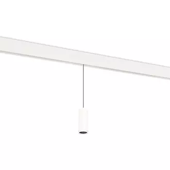 Трековый светодиодный светильник низковольтный 10W 48V Donolux Pratica DL20299WW10WS