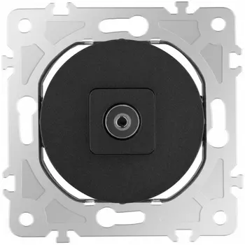 ТВ-розетка Arte Milano am-202 202.43-1.black