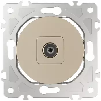 ТВ-розетка Arte Milano am-202 202.43-1.shampan