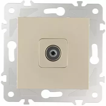 ТВ-розетка Arte Milano am-203 203.43-1.shampan